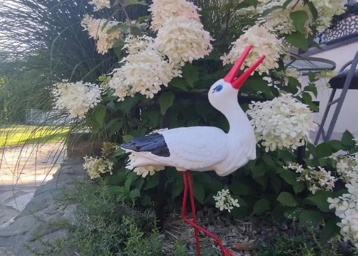 Homestay szállás Atmosfera Rozalin